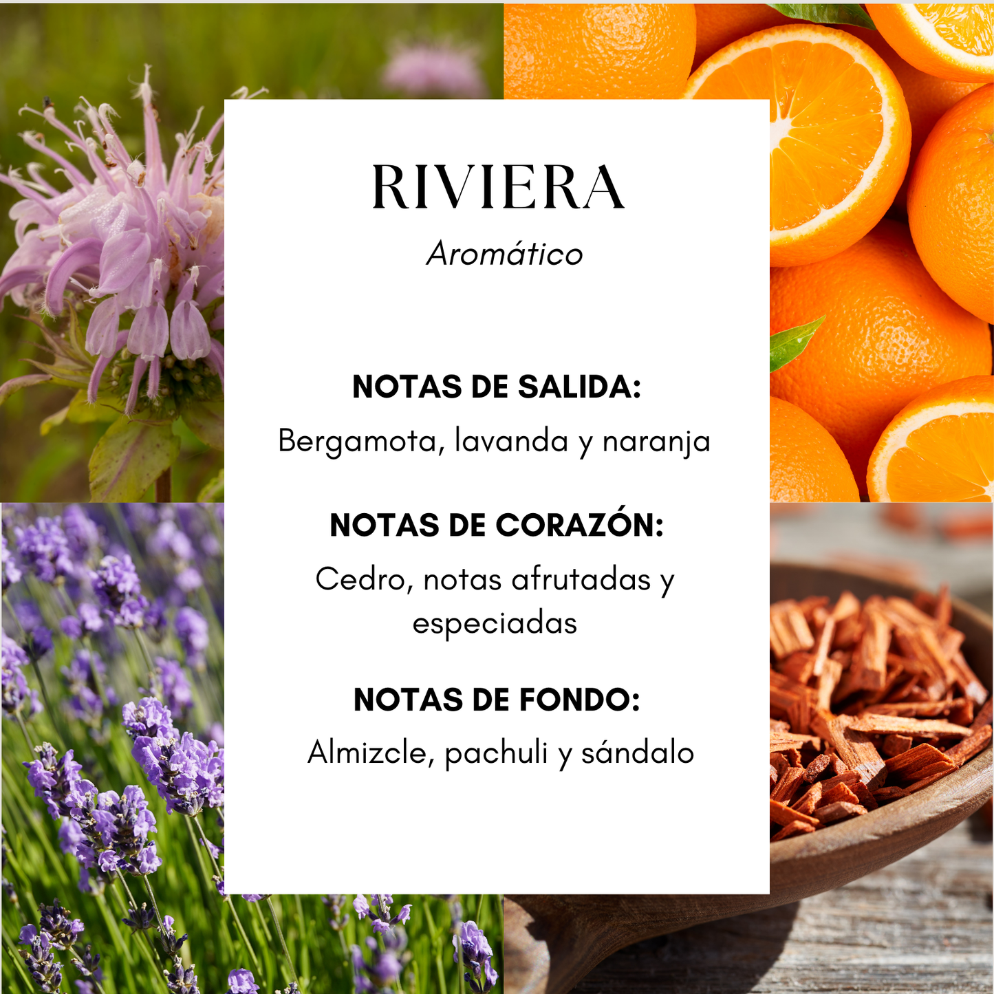 Riviera Fragrance Oil- Inspirado en Hotel Xcaret