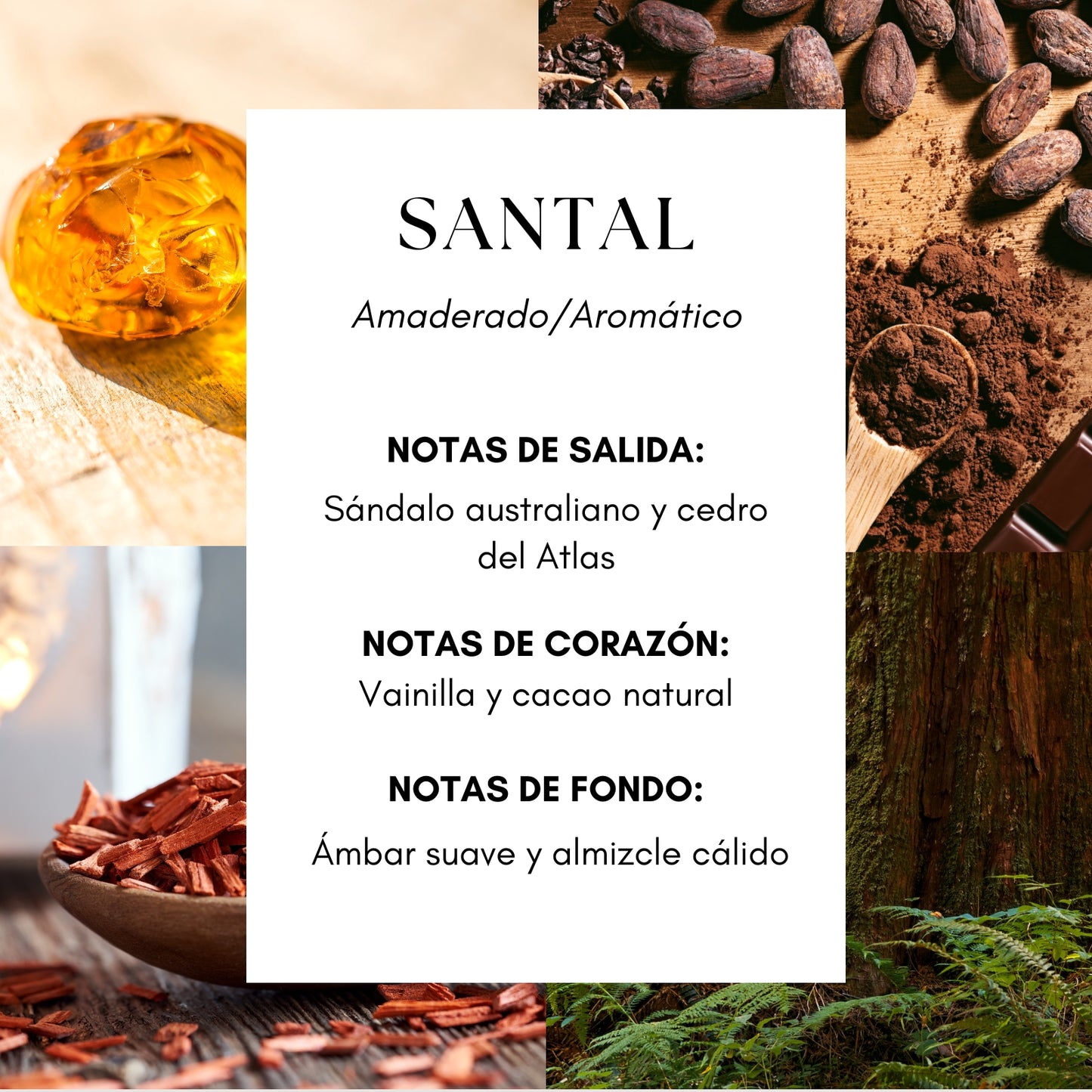 Santal Fragrance Oil- Inspirado en Santal 26 by Le Labo