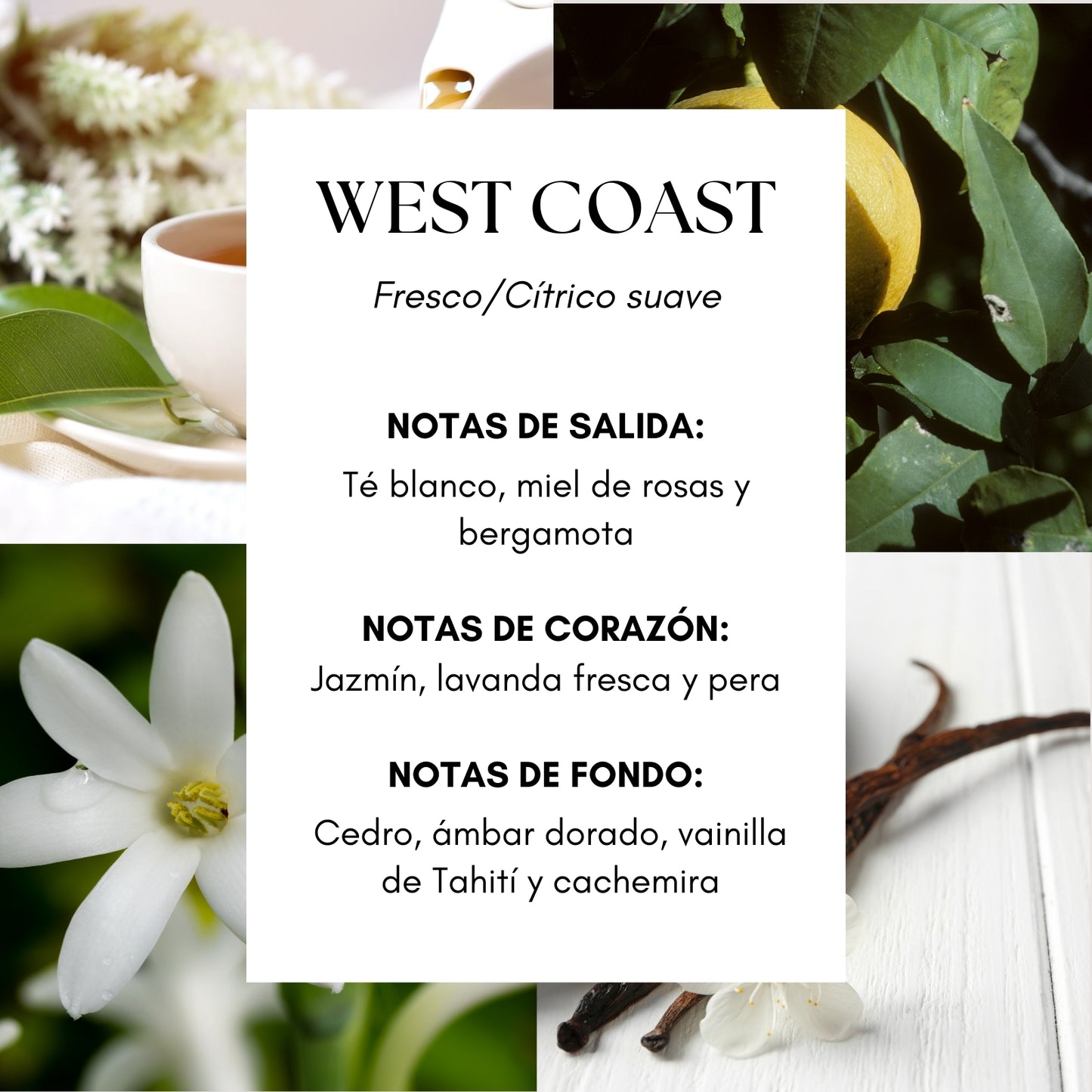 West Coast Fragrance Oil- Inspirado en Hotel Westin